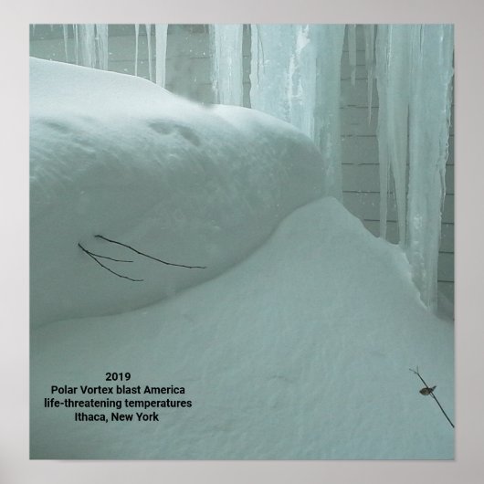 極渦がITHACAニューヨーク2019 ポスター (正面)
