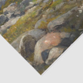 極熊とエイダーアヒルが海岸でフリューゼによって 薄葉紙 (詳細)