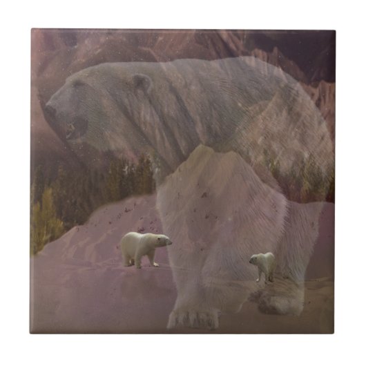 極熊の山、セラミックタイル タイル (正面)