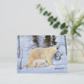 極熊の母とツンドラのカッブ シーズンポストカード (スタンド正面)