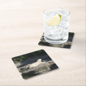 極空ベルリン動物園クヌート スクエアペーパーコースター (インサイチュ)