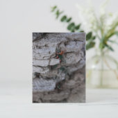 極端な登山者 ポストカード (スタンド正面)