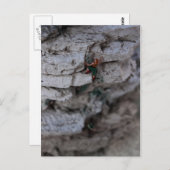 極端な登山者 ポストカード (正面/裏面)