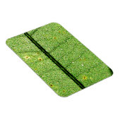 極端な緑の葉 マグネット (右側)