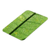 極端な緑の葉 マグネット (左側)