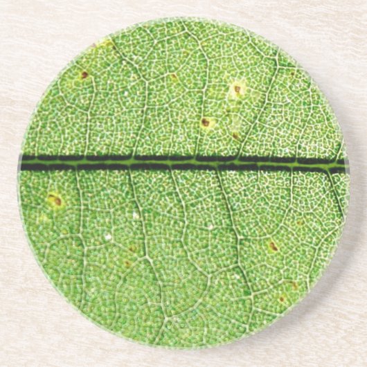 極緑葉 コースター (正面)