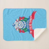 『極表現星』 |小人が電車で待機 シェルパブランケット (正面(横))