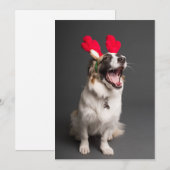 楽しいこといっぱい！ シーズンカード (正面/裏面)