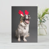 楽しいこといっぱい！ シーズンカード (スタンド正面)