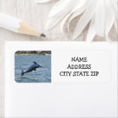 **楽しいイルカ**住所 シール (インサイチュ)