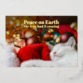 楽しいクリスマスの眠る猫 平和な地球 箔シーズンカード
