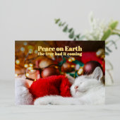 楽しいクリスマスの眠る猫 平和な地球 箔シーズンカード (立ち正面)