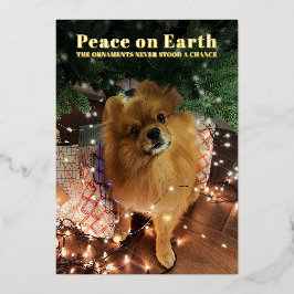 楽しいクリスマスポメラニアン犬の平和 箔シーズンカード