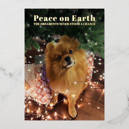 楽しいクリスマスポメラニアン犬の平和 箔シーズンカード (正面)