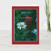 楽しいクリスマス、白いデイジーの野草 シーズンカード (正面)