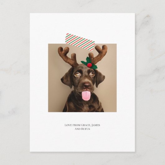楽しいストライプテープのクリスマス写真(ポストカードの裏) ポストカード (正面)