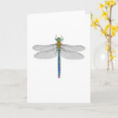 楽しいトンボ カード (黄色い花)