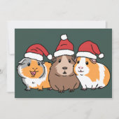 楽しいピグマス モルモット クリスマス 動物好き (正面)