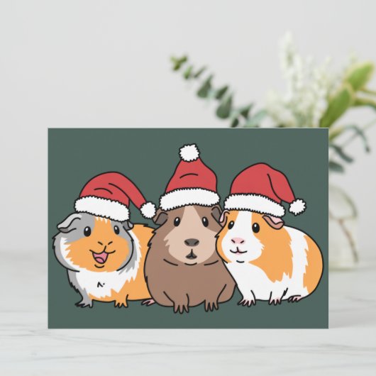 楽しいピグマス モルモット クリスマス 動物好き (スタンド正面)