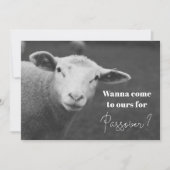 楽しいペサハの招待状 招待状 (正面)