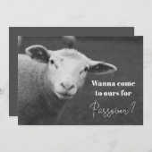 楽しいペサフの招待状 招待状 (正面/裏面)