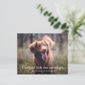 楽しいペットのクリスマスカード 裏に舐めたよ (スタンド正面)