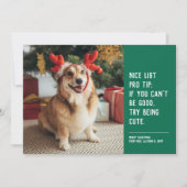 楽しいペットの緑のクリスマス写真 シーズンカード (正面)
