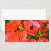 楽しいホリデー_ シーズンカード (正面/裏面)