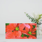 楽しいホリデー_ シーズンカード (スタンド正面)