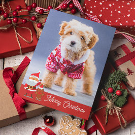 楽しいメリー ペット かわいい犬 クリスマス ホリデー カード