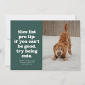 楽しいリスト かわいい 緑のペットの写真 クリスマス (正面)