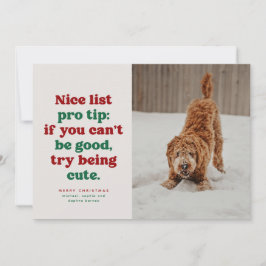 楽しいリスト 面白い かわいい 赤 緑 ペット 写真 クリスマス