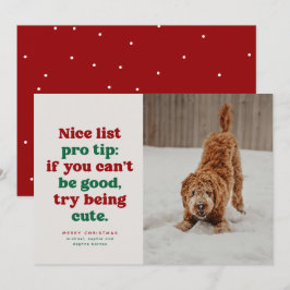 楽しいリスト 面白い かわいい 赤 緑 ペット 写真 クリスマス