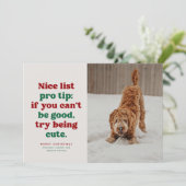 楽しいリスト 面白い かわいい 赤 緑 ペット 写真 クリスマス (スタンド正面)