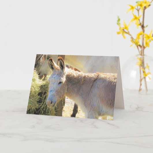 楽しいロバのグリーティングカード カード (黄色い花)