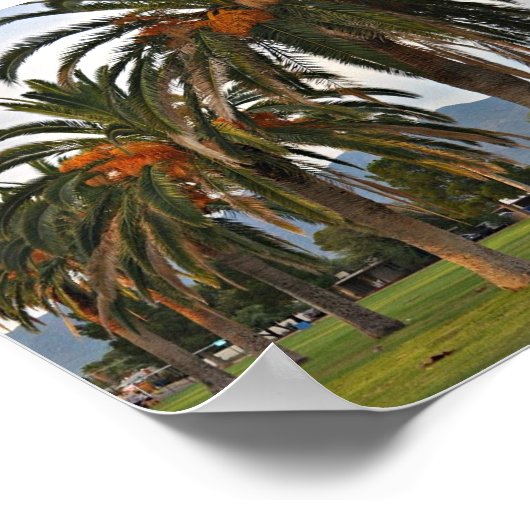 楽しい伊達木 ポスター (角)