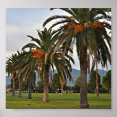 楽しい伊達木 ポスター (正面)