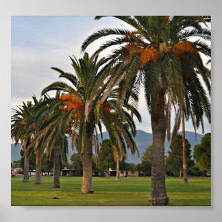 楽しい伊達木 ポスター