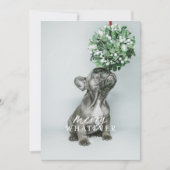 楽しい何でもホリデー シーズンのペット写真カード 招待状 (正面)