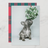 楽しい何でもホリデー シーズンのペット写真カード 招待状 (正面/裏面)