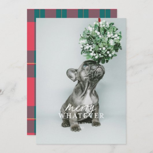 楽しい何でもホリデー シーズンのペット写真カード 招待状 (正面/裏面)