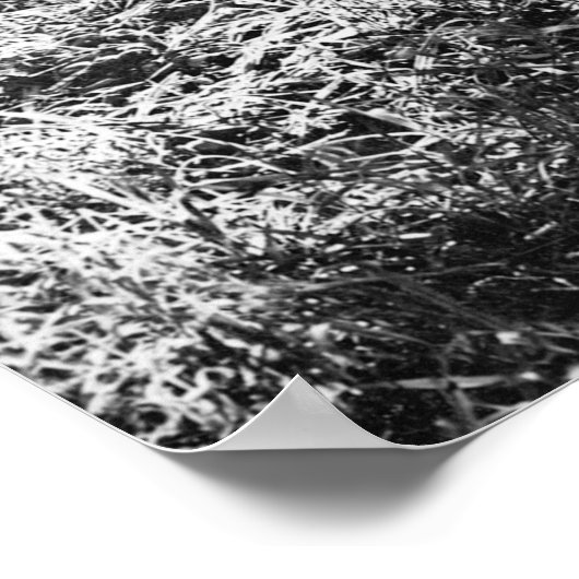 楽しい夢の女異教の性,スピリチュアル,ダンス,ウィル ポスター (角)