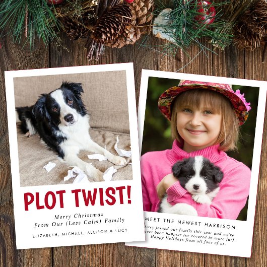 楽しい新しく家族になった子犬の写真 クリスマス