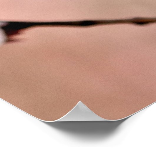 楽しい日本のアプリコットの花 ポスター (角)