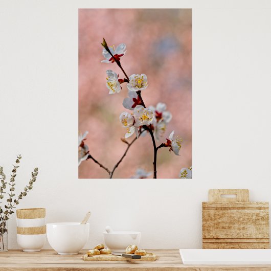 楽しい日本のアプリコットの花 ポスター (キッチン)