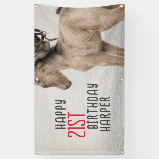 楽しい時を駆け回れ！ホース誕生日バナー 横断幕 (縦)