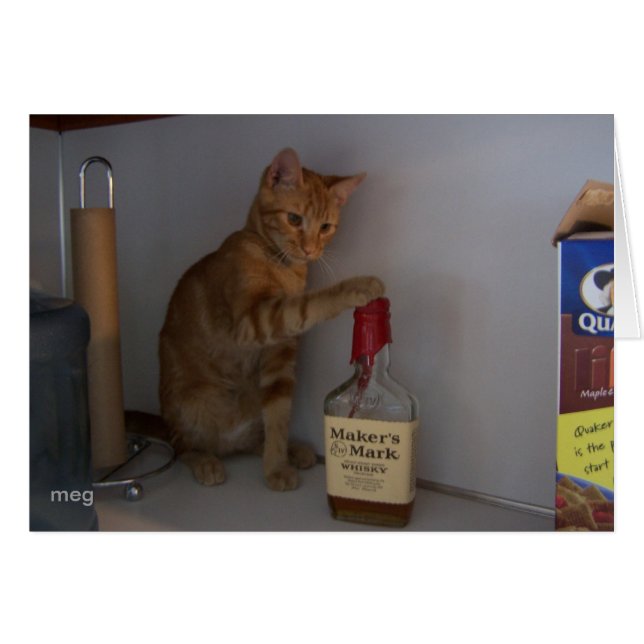 楽しい時間 (正面横)