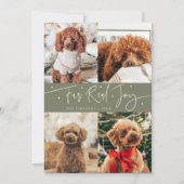 楽しい本当の喜びの犬の写真の深緑のクリスマス シーズンカード (正面)