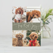 楽しい本当の喜びの犬の写真の深緑のクリスマス シーズンカード (スタンド正面)