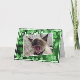 楽しい歌うシャム猫の子猫の写真 クリスマス